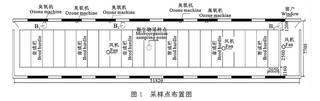 臭氧機(jī)放豬舍進(jìn)行臭氧消毒會(huì)不會(huì)對(duì)豬有影響(圖1)