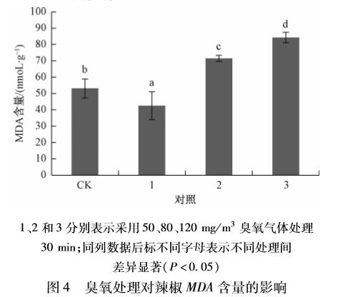 臭氧對辣椒種子萌發(fā)及生理指標的影響